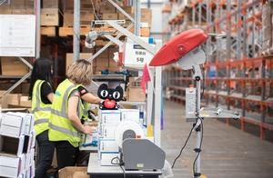 Dish bird makes history on 618 content shed cat of the fastest day consumer: The thief is fast