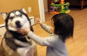 Darling always thinks 2 ha 