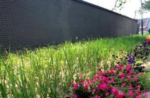 Be beautiful! Tell a state after 12 road are trans