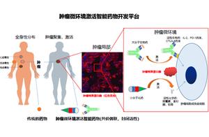 Small environment of dispatch ｜ tumour is answered model affinity of platform of medicaments researc