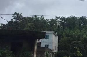 7 years old male child murder by hall elder brother 