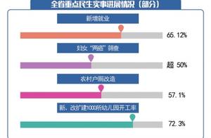 Circumstance of progress of real issue of Henan key the people's livelihood reports complete provin