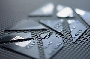 Credit card business awards the elephant that beli