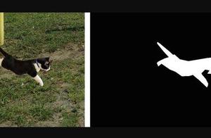 Deepness nerve network can discern the photograph that Deepfakes forges