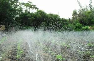 Recognize 10 kinds fake Shui Rong is fat, was not cheated