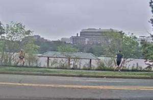 When beautiful woman morning runs, dog by the man 