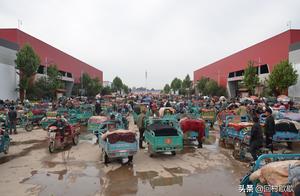 Vegetable is a minute of price a minute really goods, quality is good differ with quality, the price