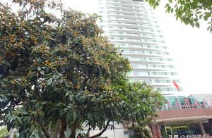 Beautiful scenery interest pursues: Big public house of project of high-rise of electric power of th