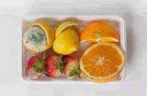 Food is mildewy, the part with bad cut away, dare 