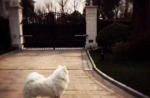 A person of extraordinary powers of Home Qiao Xin 