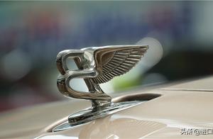 Edition of lengthen of 18 guest Li Mushang can wit