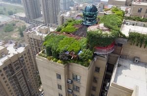 Laozhao 860 thousand sell 355 smooth rice has card