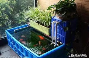 Cistern opens bacterium of crock of 50 days of nitration to already was stabilized (piscine friend i