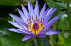 The person is living it is a kind of responsibility