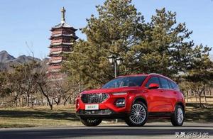 Motivation behaves bright look, yan Zhi shows imit