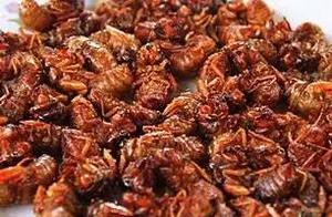 Ate two? Scamper cicada! Does Hangzhou dine togeth