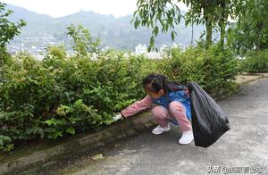 The polybag of shredded paper bits that discards a