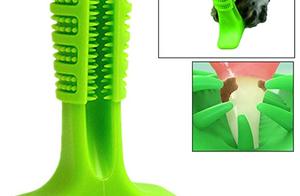 Next quickly wearing! Explode paragraph tort the a