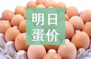 Egg price stops drop rebound! Breed door boil even