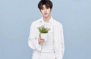 Besides forest update, it what star figure still have is good to what star figure still have to can