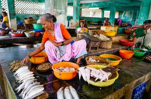 Does Indian economy data make a holiday?