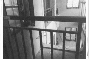 15 years old of teenagers rape 7 years old female 