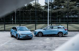 Have different pure report motor-car greatly, try 