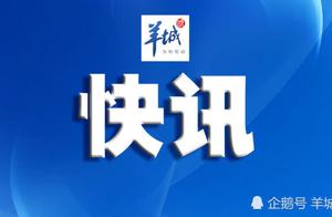 One bilk gang is stared at on cost of representati