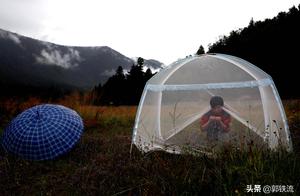 " in hard disk " many youth scholar, all the yea