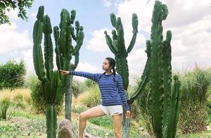 Group plan: Zhang Yuqi shares a tourist to plunge into double horsetail to wear hot pants youth acco