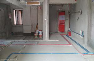 Water and electricity transforms feline be bored with much, these staying up late the experience of