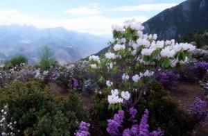 Achieve formerly: Nobody admire remote mountains w