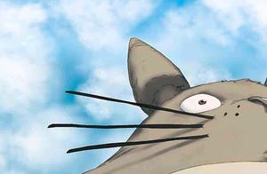 Dragon cat! Dragon cat! Dragon cat!