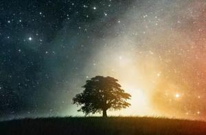 Not OK and abysmal line is kind-hearted