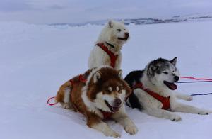 Get on the first with the world 