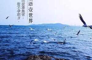 我是佛前一朵莲花这是什么诗的句子