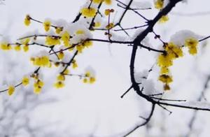 Wish to go up to the sky favor the honest person o