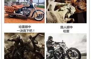 Motor " the classroom that spit groove " , you w