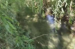 珍惜水资源的广告语