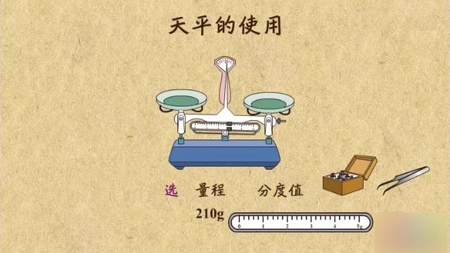 如何使用托盘天平