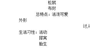 《松鼠》表達了作者什么樣的思想感情