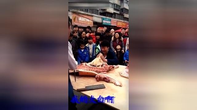 小沈龙抱着猪头哭那个是什么电影
