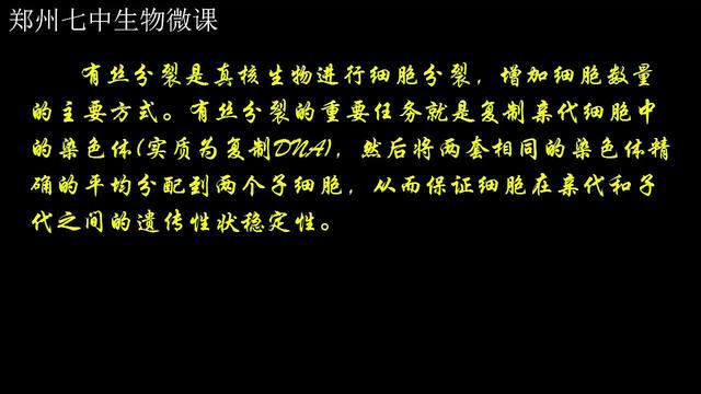 植物有丝分裂的过程
