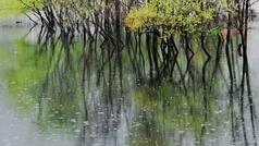 關于纏綿春雨的散文詩