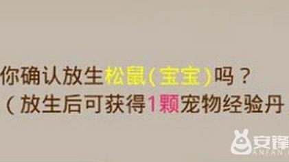 问道里的宠物怎么样能放生高手帮帮忙了