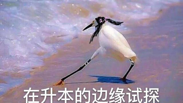 有哪些情景成语