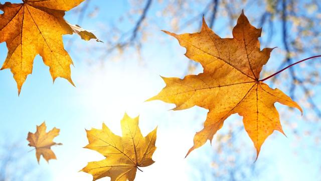 長虹高科注冊過商標嗎還有哪些分類可以注冊