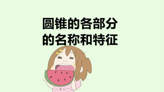 圆锥由几部分组成,各部分由什么特征