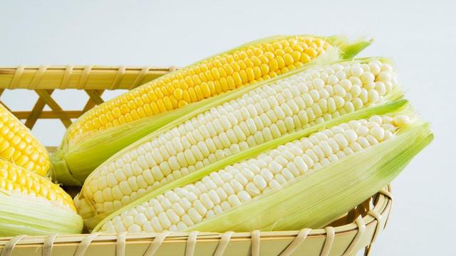 粗粮可以当主食吗