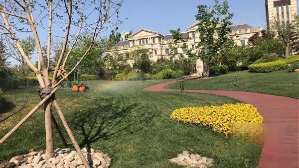 寶坻的老鄉我想請教一下各位若是為了等著房子升值買新房好還是二手房好啊
